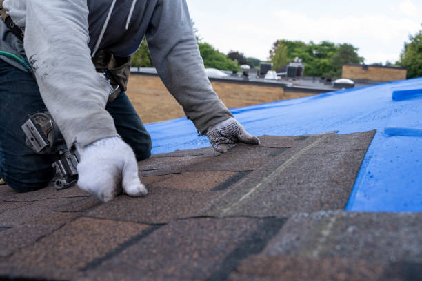 Best Emergency Roof Repair  in Mount Carmel, TN
