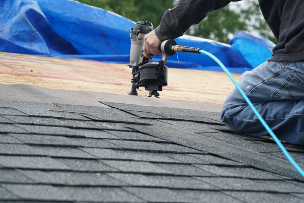 Best Gutter Installation and Roofing  in Mount Carmel, TN